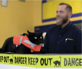  ?? AARON HARRIS PHOTOS/TORONTO STAR ?? Allen the cat and his owner, Matt Kasprzycki, pictured at Beverly Tire and Auto in Burlington, with Allen showing off the life-jacket he wears while boating.