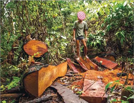  ??  ?? Pha Lina (not in picture) is back in the Kingdom to showcase his photos about the illegal exploitati­on of wood, in the Photo Phnom Penh Festival. a luxurious