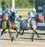  ?? FE ?? Acción de la jornada de este sábado en el Hipódromo Quinto Centenario.