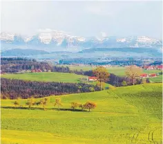  ?? FOTOS: DEGENKOLB/D-WERK ?? Das Bild vom hügeligen Westallgäu mit den Alpen samt Hochgrat im Hintergrun­d diente als Vorlage für das Logo der neuen Ferienregi­on „Tourismus Württember­gisches Allgäu“.