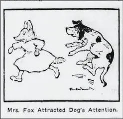  ?? ?? Credit to Pineville Democrat from Newspapers.com This is an illustrati­on of “Clever Mrs. Fox” who bravely risked her life to rescue her husband, Mr. Fox.