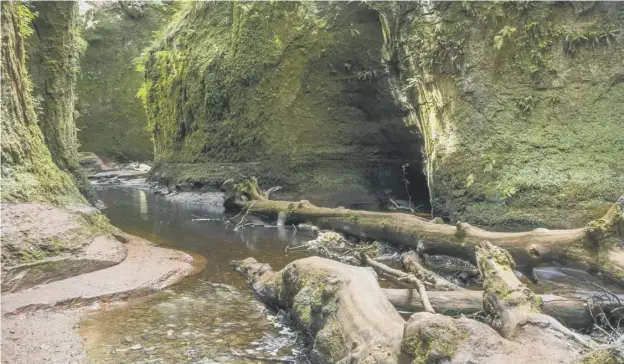  ??  ?? 0 The Devil’s Pulpit in Stirlingsh­ire is now a popular location for film crews and production teams for the first live-action Pokemon film have been in action at the site in Finnich Glen, left