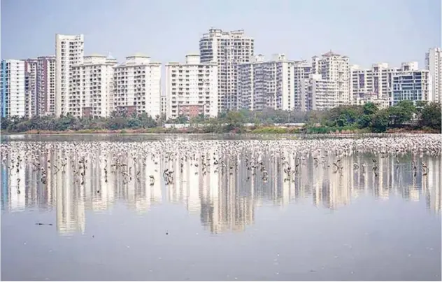  ?? Reuters ?? Residentia­l buildings seen in Navi Mumbai, India.