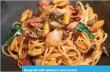  ??  ?? Spaghetti with silkworm and cricket