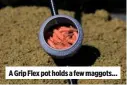  ??  ?? A Grip Flex pot holds a few maggots...