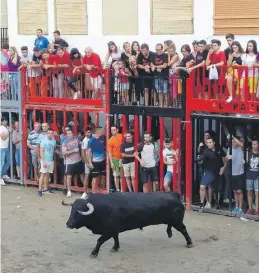  ??  ?? ▶▶ Los toros, indispensa­bles en la programaci­ón festiva de la Vilavella.