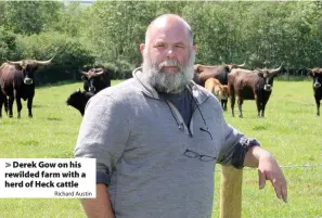  ?? Richard Austin ?? Derek Gow on his rewilded farm with a herd of Heck cattle