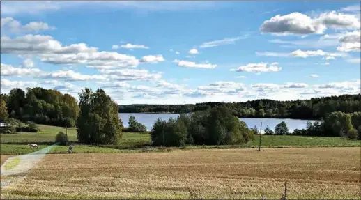  ?? PETER ALEXIS ?? HÖGFORS. Orten är knappast ett besöksmål - men en vacker och fridfull plats att ha sina rötter på.