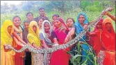  ?? HT PHOTO ?? Women from Samecha village pose with the snake.