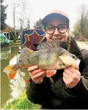  ??  ?? Charlie Newton fished a lure for this perch he took from the Grand Union Canal.