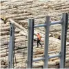  ?? PHOTO: STEPHEN JAQUIERY ?? Logs are loaded at the Beach St wharf in Port Chalmers.