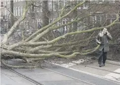  ??  ?? 0 A man escaped in Amsterdam when a tree fell on his scooter