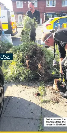  ??  ?? Police remove the cannabis from the house in Stretford