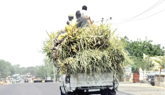  ?? PHOTO ?? A van loaded with sugarcane moving towards a market in Zamfara over the weekend.
SANI MAIKATANGA