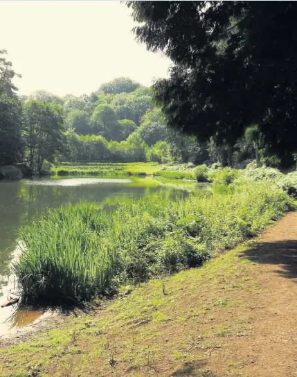  ??  ?? Glorious Gloucester­shire Alan Bowkett took this picture around Soudley ponds in the Forest of Dean