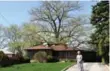  ??  ?? The oldest tree in the 416 is a 350-year-old red oak in Etobicoke.