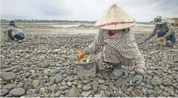  ??  ?? VIENTIANE: Workers gather pebbles at a sand excavation site along the Mekong River in Vientiane. — AFP