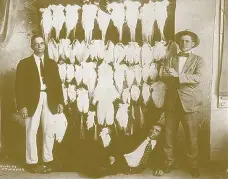  ??  ?? Agentes federales de los Estados Unidos con un cargamento de pieles de plumas (egrets) de garzas en los años ‘30.