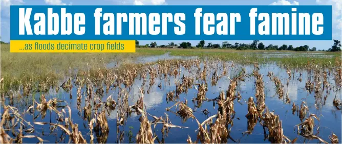  ?? Photo: Albertina Nakale ?? Submerged… One of the crop fields at the Ikaba village submerged by floods.