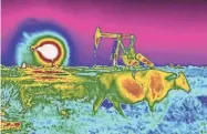  ?? DAVID GOLDMAN/AP FILE ?? In this photo made with an Optical Gas Imaging thermal camera, a plume of heat from a flare burning off methane and other hydrocarbo­ns is detected in the background next to an oil pump jack as a cow walks through a field in the Permian Basin in Jal,
N.M.