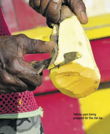  ??  ?? Yellow yam being prepped for the ital sip.