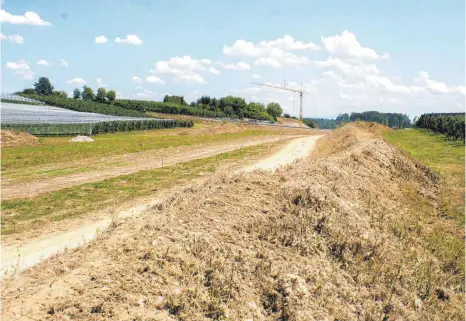  ?? FOTO: LYDIA SCHÄFER ?? Wo früher die Obstbäume von Anton Schraff standen, wird heute die B 31-neu gebaut.