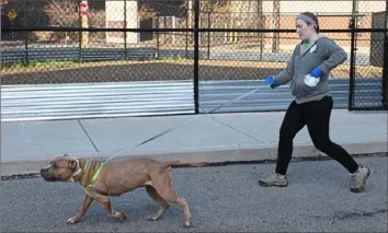  ?? Darrell Sapp/Post-Gazette ?? Chelsey Walsh of Friendship walks Maggie on Thursday in Homewood.