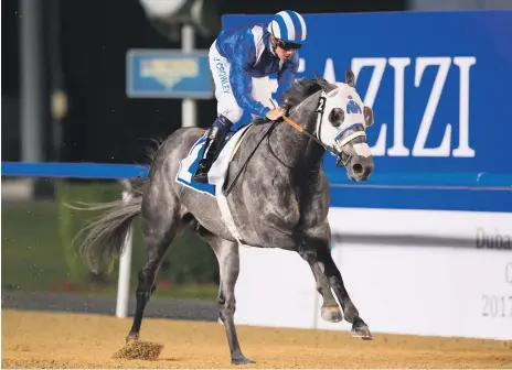  ?? Erika Rasmussen for The National ?? Almanaara is drawn third among 10 runners for today’s Listed Garhoud Sprint at the Meydan Racecourse