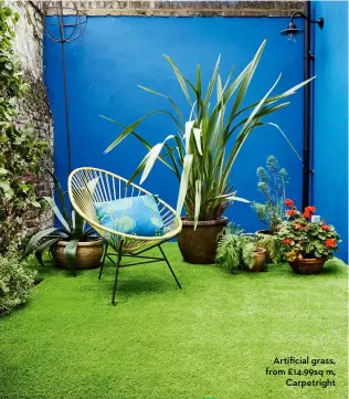  ?? ?? Artificial grass, from £14.99sq m,
Carpetrigh­t