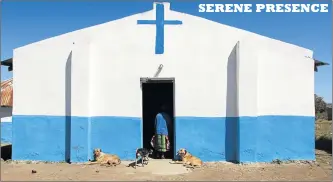  ?? Picture: MICHAEL PINYANA ?? Dogs relax outside St John’s Church in Nkxankxash­e village in Willowvale