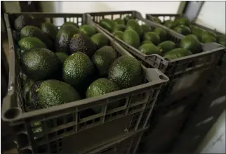  ?? ARMANDO SOLIS — THE ASSOCIATED PRESS ?? U.S.-MEXICO TRADE
Crates of avocados wait to be processed at a packing plant in Uruapan, Mexico, on Wednesday. Mexico has acknowledg­ed that the U.S. government has suspended all imports of Mexican avocados.