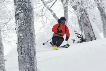  ?? FOTO: DPA ?? Abseits der Pisten fängt für immer mehr Skifahrer das wirkliche Vergnügen erst an.