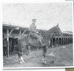  ?? Cavalry Mounts during WWI at the Remount Depot on Lord Derby’s Lathom Park estate. There was concern that horses had been buried there on land, below, where Lightsourc­e wants to site solar panels ??