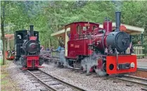  ?? PHIL BARNES ?? Visiting O&K 0-6-0WT Sao Domingos (left) and resident O&K 0-6-0T Elouise pictured on September 10 at Old Kiln Light Railway’s Mills Wood station on September 10.