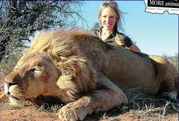  ?? ?? Tragic end: A U.S. celebrity hunter Olivia Nalos Opre poses with her kill. Above, from the Mail, May 14