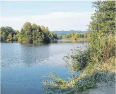  ?? FOTO: HERBERT GUTH ?? Die Schönheit des Pfrunger-Burgweiler Rieds bei Wilhelmsdo­rf zieht Feriengäst­e an, die ihren Urlaub in der Ferienregi­on Nördlicher Bodensee buchen.