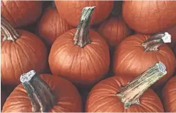  ?? GETTY IMAGES ?? Regardless of how you are using pumpkins, be sure to protect the stem to help them last longer.