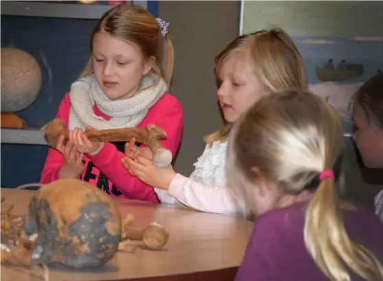  ?? Bild: FELICIA JOHANSSON ?? LÅRBEN. 9-åriga Julia Frennberg undersöker skelettet från Lödöse med de andra barnen. ”Klibbigt”, säger någon.