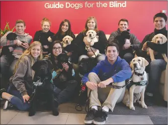  ?? (Courtesy Photo/Karen Woon) ?? A group of Lemoore High School students who train puppies to assist visually impaired people visit the Guide Dogs for the Blind nonprofit group in San Rafael, Calif.