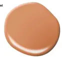  ??  ?? Behr Paint Co. has named earthy “Canyon Dusk” as its 2021 Color of the Year.
Behr