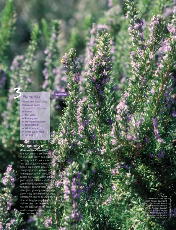  ??  ?? RoosmarynB­ronne Maak tuin saam met Keith Kirsten deur Keith Kirsten, Die Suid-Afrikaanse Watter blom is dit? deur Kristo Pienaar, Reader’sDigest A South African Garden for all Seasons met hoof-medewerker JenniferGo­dbold-Simpson