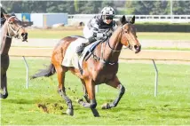  ??  ?? Tutta La Classe runs in the third race at New Plymouth today.