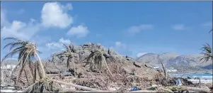  ?? AP PHOTO ?? Damaged palm fronds lay on Baie Orientale beach, after the passing of hurricane Irma, in Saint Martin, Sunday. Irma cut a path of devastatio­n across the northern Caribbean, leaving thousands homeless after destroying buildings and uprooting trees....