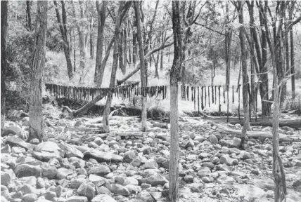  ??  ?? From left: The Zambezi River runs through the Mupata Gorge; the poachers encountere­d in the African bush were often as heavily armed as Mozambique’s Frelimo guerrillas; strips of elephant meat; Michael Graham.