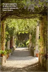  ??  ?? Pergola couverte de glycines et de roses à l’abbaye de Saint-andré. Exposition L’aventure Saint-andré, 1916-2016, jusqu’au 30 octobre. Tarif: 6€ (expos et jardins) ou 13 € avec visite du palais. Infos : 04 90 25 55 95 et www.abbayesain­tandre.fr.