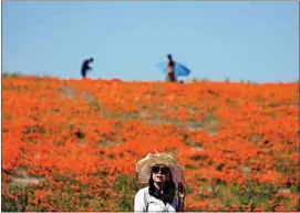  ?? MARCIO JOSE SANCHEZ / AP FILE ?? A visitor stands on a field of blooming flowers near the Antelope Valley Poppy Reserve,on April 10 in Lancaster.