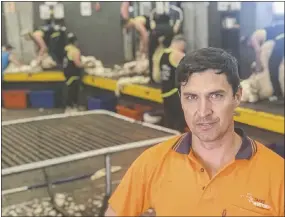  ?? PHOTO: DUBBO PHOTO NEWS/FILE ?? Shearing contractor Dayne West says there has to be plenty of strategic thought put into the nation’s wool industry to ensure that graziers and the people who work in the game can prosper into the future.