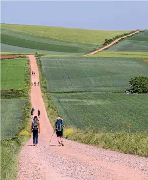  ?? GETTY IMAGES ?? The Camino de Santiago is a network of pilgrims’ ways serving pilgrimage to the shrine of the apostle Saint James in the cathedral of Santiago de Compostela in Galicia in northweste­rn Spain.