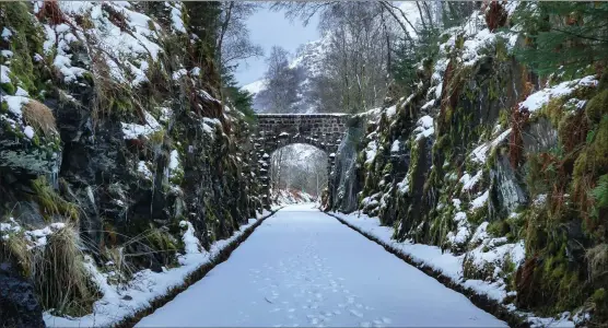  ??  ?? Frank Urban captured this charming wintry scene while walking on the old railway line which runs between Lochearnhe­ad and Killin. He used a Sony A6500
We welcome submission­s for Picture of the Day. Email picoftheda­y@theherald.co.uk