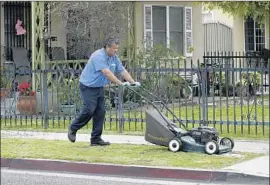  ??  ?? FRANCISCO CRUZ mows the parkway in front of his home in Maywood. His yard was cleaned of lead contaminat­ion a few years ago, but the parkway was not.